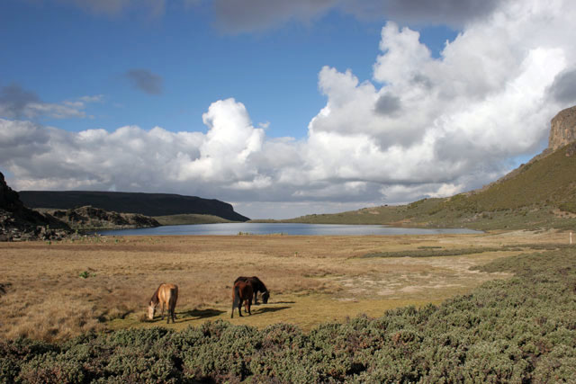 Garba Guracha lake. Bale Mountain National Park. South,  Ethiopia.