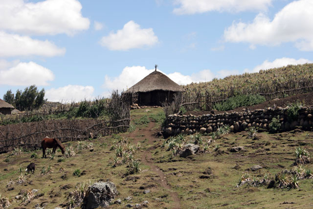 Bale Mountain National Park. South,  Ethiopia.