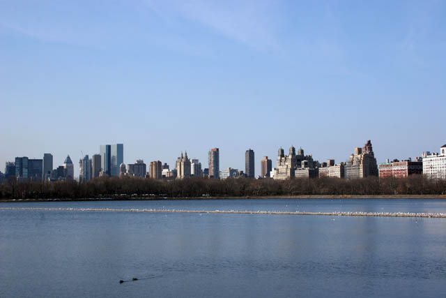 Cental Park, Manhattan, New York. United States of America.