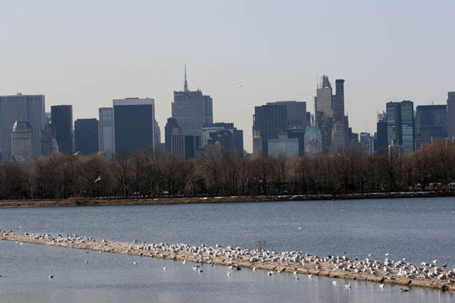 Cental Park, Manhattan, New York. United States of America.