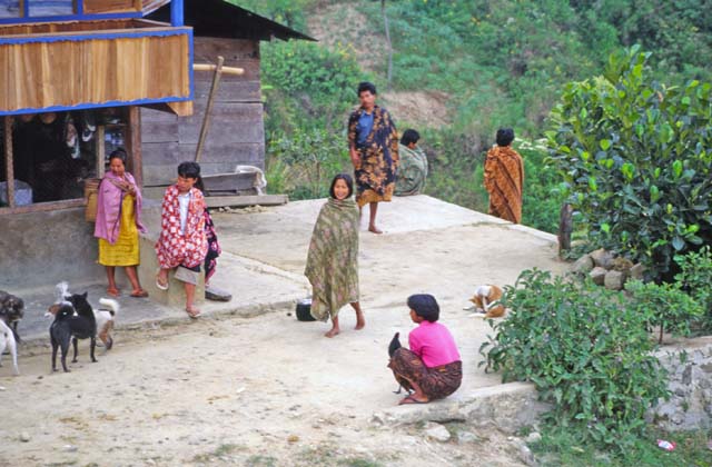 Paku village. Tana Toraja area. Sulawesi,  Indonesia.