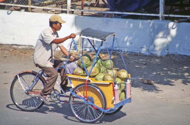 Coconut seller at Ujung Pandang town. Sulawesi,  Indonesia.
