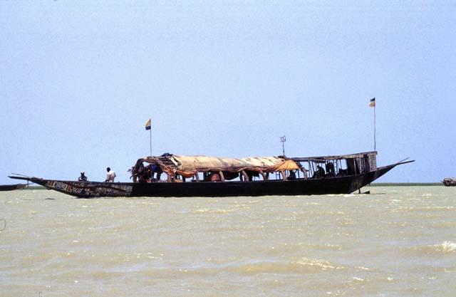 Life at Niger river. Mali.