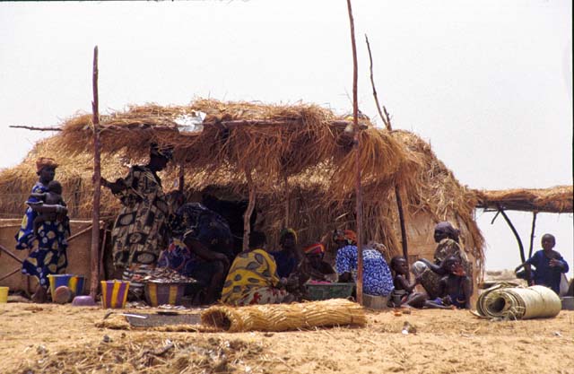 Life at bank of Niger river. Mali.