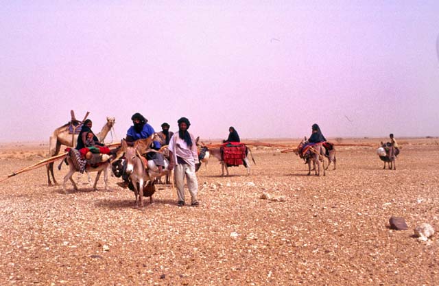Tuaregs on the way to reach new place for living. Sahara desert. Mali.
