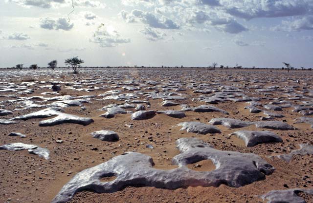 Sahara and its beauty. Mali.
