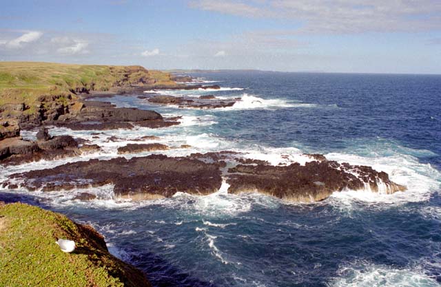 Coast near Great Ocean Road. Australia.