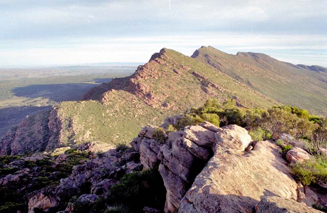 Flinders Ranges national park. Australia.