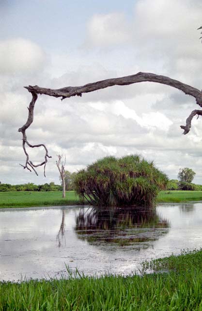 Yellow Water river. Kakadu National park. Australia.