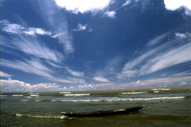 Siberut island. Sumatra,  Indonesia.