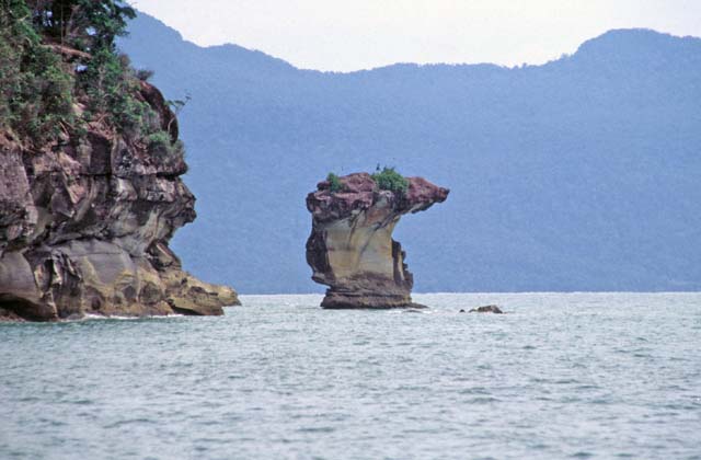 Bako national park. Sarawak,  Malaysia.
