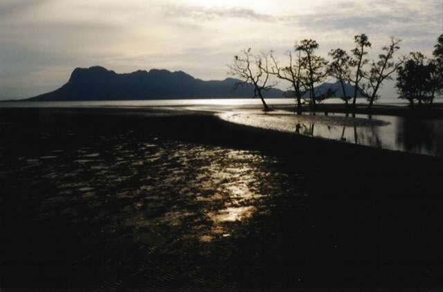Bako national park. Sarawak,  Malaysia.