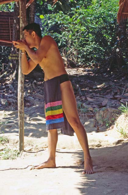 Punan tribe use for hunting blowpipes. Cultural village near Kuching. Sarawak,  Malaysia.