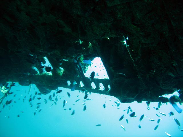 Diving around Togian islands, Kadidiri, plane wreck B24 from the 2nd World War sunken on Mai 3rd, 1945. Sulawesi,  Indonesia.
