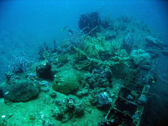 Diving around Togian islands, Kadidiri, plane wreck B24 from the 2nd World War sunken on Mai 3rd, 1945. Sulawesi,  Indonesia.