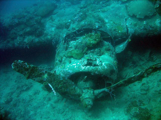 Diving around Togian islands, Kadidiri, plane wreck B24 from the 2nd World War sunken on Mai 3rd, 1945. Sulawesi,  Indonesia.