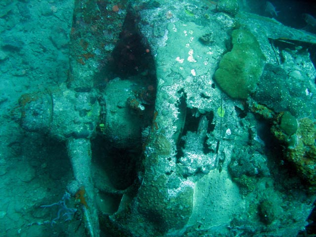 Diving around Togian islands, Kadidiri, plane wreck B24 from the 2nd World War sunken on Mai 3rd, 1945. Sulawesi,  Indonesia.