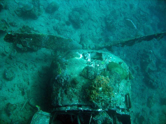 Diving around Togian islands, Kadidiri, plane wreck B24 from the 2nd World War sunken on Mai 3rd, 1945. Sulawesi,  Indonesia.
