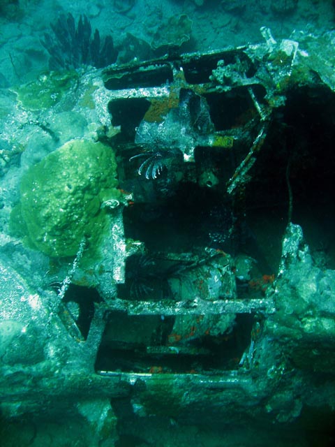Diving around Togian islands, Kadidiri, plane wreck B24 from the 2nd World War sunken on Mai 3rd, 1945. Sulawesi,  Indonesia.