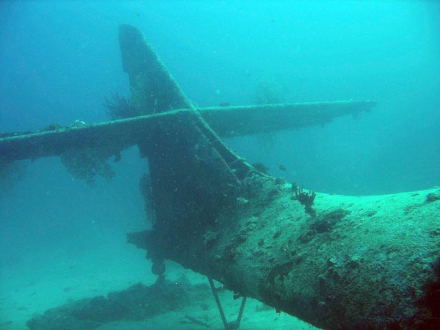 Diving around Biak islands, Catalina wreck dive site. Papua,  Indonesia.