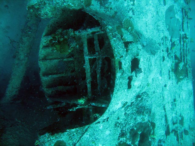Diving around Biak islands, Catalina wreck dive site. Papua,  Indonesia.