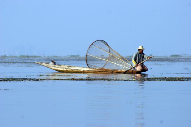 Traditional fishing, Inle Lake. Myanmar (Burma).