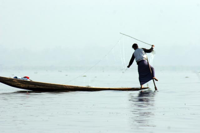 Traditional fishing, Inle Lake. Myanmar (Burma).
