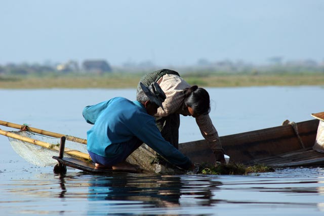 Traditional fishing, Inle Lake. Myanmar (Burma).