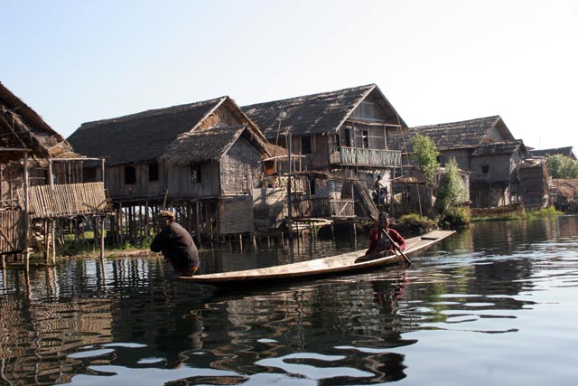 Water life. Inle Lake. Myanmar (Burma).