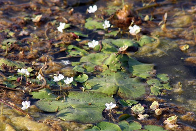 Around Inle Lake. Myanmar (Burma).