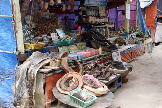Traditional medicine stalls, Kyaiktiyo. Myanmar (Burma).