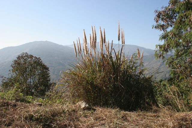 Around Mindat village. Chin State. Myanmar (Burma).