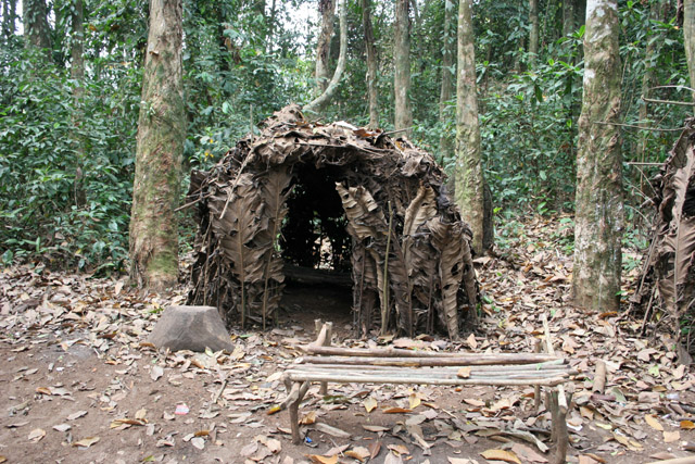 Pygmy village down to the Lobe River. The Pygmy people are forest dwellers, know the forest, its plants and its animals. They live by hunting animals such as antelopes, pigs and monkeys, fishing, and gathering honey, wild yams, berries and other plants. Cameroon.