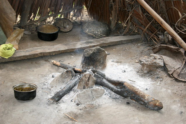 Pygmy village down to the Lobe River. The Pygmy people are forest dwellers, know the forest, its plants and its animals. They live by hunting animals such as antelopes, pigs and monkeys, fishing, and gathering honey, wild yams, berries and other plants. Cameroon.