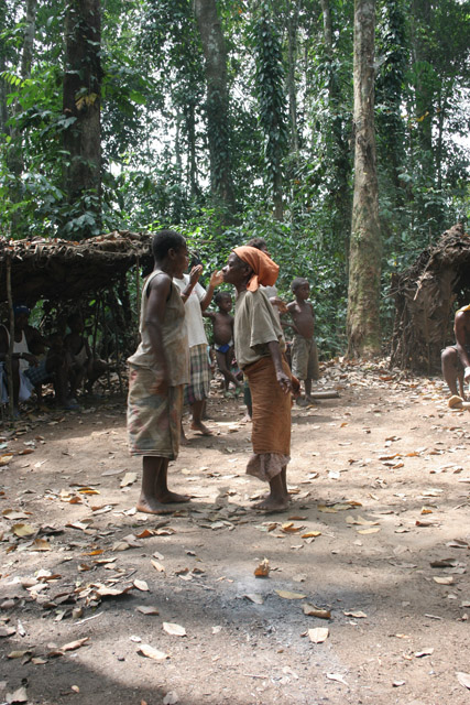 Traditional dance at Pygmy village down to the Lobe River. Cameroon.