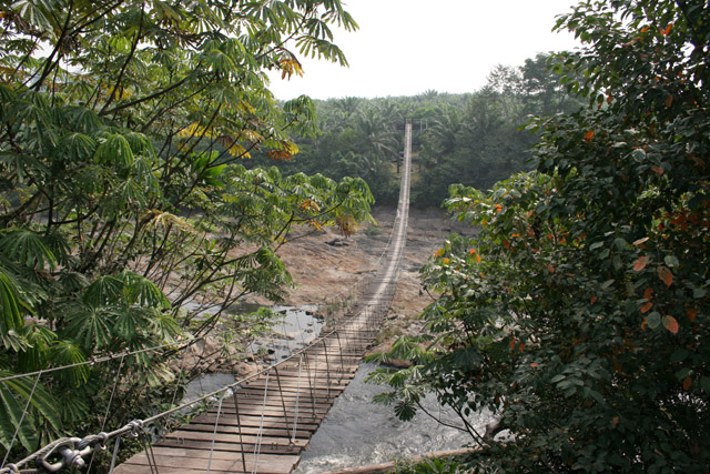Korup National Park entrance. Cameroon.