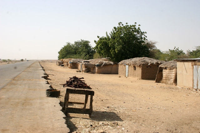 On the way to Lake Chad. Cameroon.