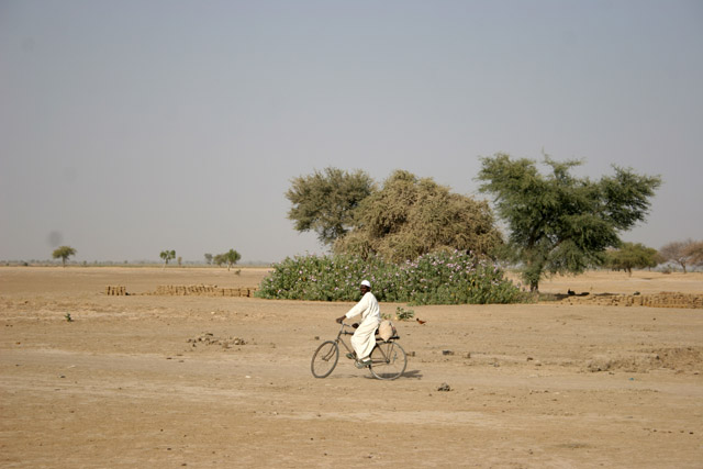 On the way to the Lake Chad. Cameroon.