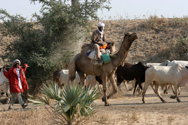 Near Maga village. Cameroon.