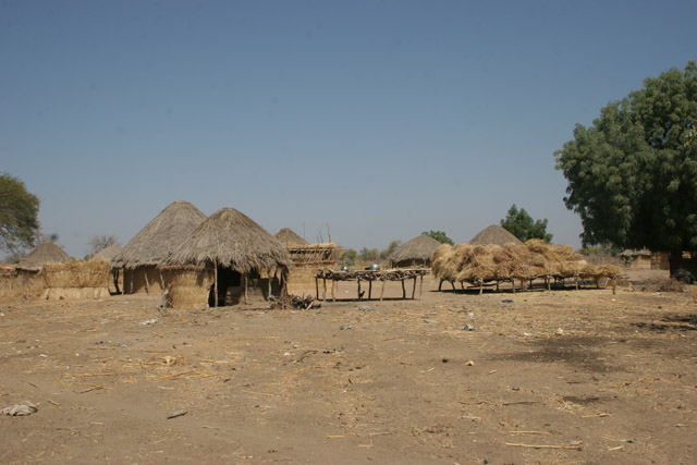 Local village behind Waza National Park gate direction to the Maga village. Cameroon.
