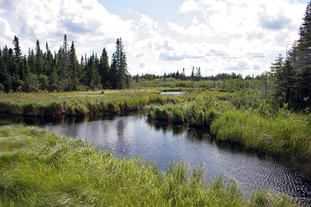 North Shore area, Minnesota. United States of America.