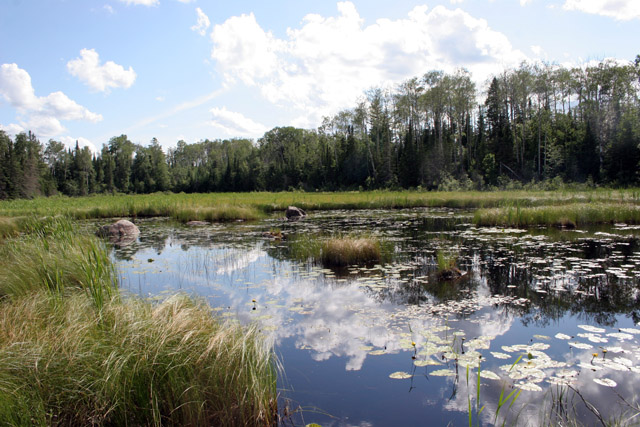 North Shore area, Minnesota. United States of America.