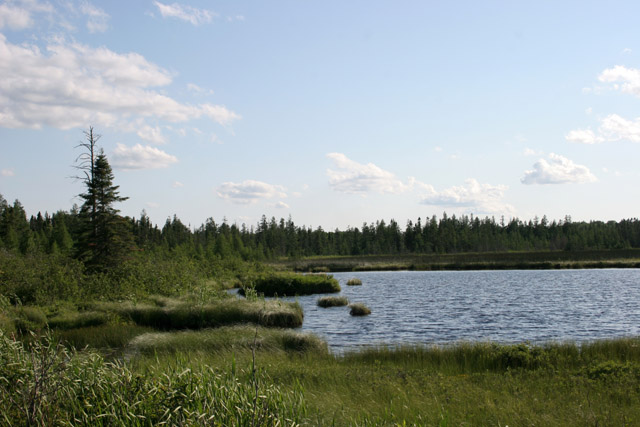 North Shore area, Minnesota. United States of America.