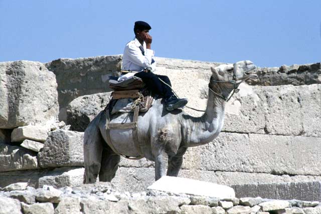 Police in Pyramids complex in Giza. Egypt.