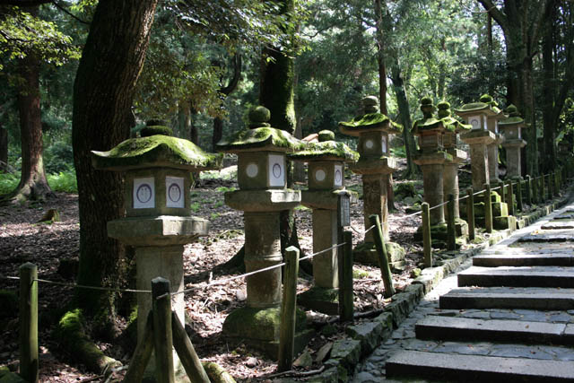 Kasuga Grand shrine, Nara. Japan.