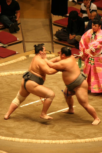 Sumo wrestling at sumo tournament. Tokyo. Japan.