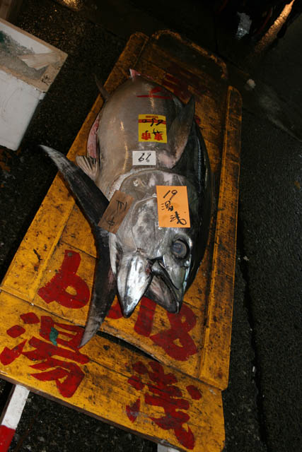 Tsukiji fish market, Tokyo. Japan.