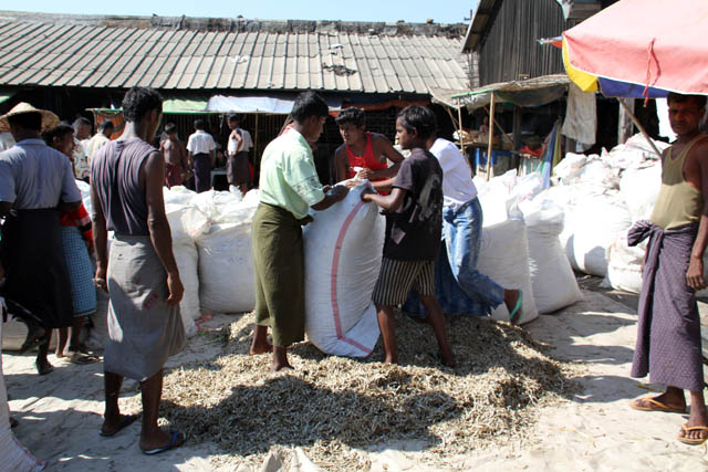 Dry fishes - fish market, Sittwe town. Myanmar (Burma).