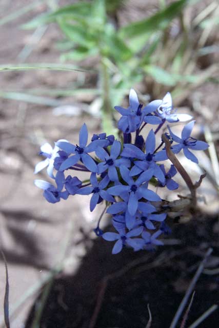 Blyde River Canyon. South Africa.