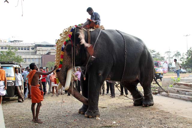 Procession preparation of Ernakulam Shiva Temple Festival. Ernakulam, Kerala. India.